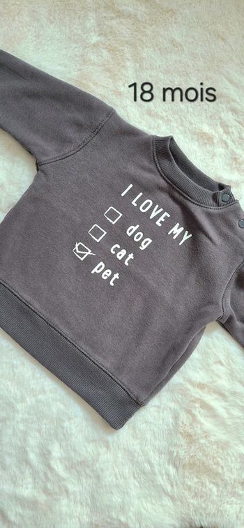 Pull taille 18 mois
