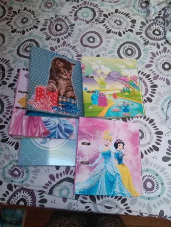 Lot de 5 classeurs
