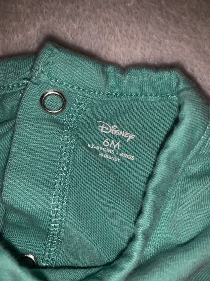 Grenouillère Disney - photo numéro 3
