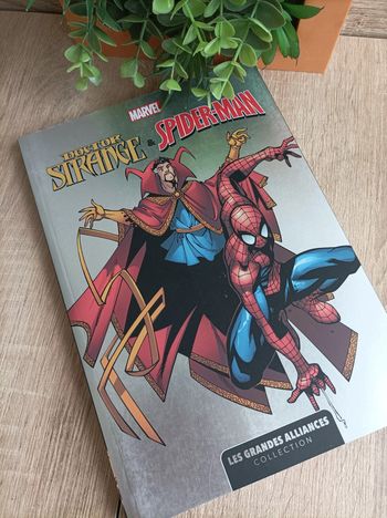 Comics Album Marvel Doctor Strange & Spider-Man Panini