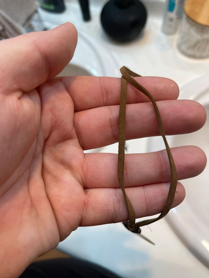 Collier fantaisie - photo numéro 3