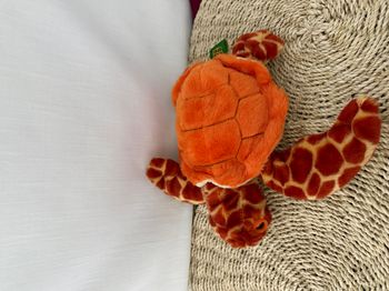 Wild republic Peluche tortue caouanne