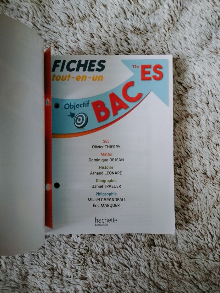 Fiches tout-en-un BAC ES (2017) - photo numéro 3