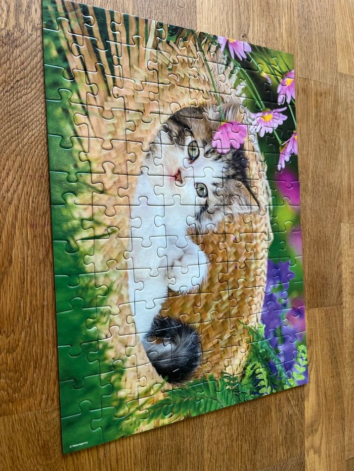 Puzzle : chatons - photo numéro 5