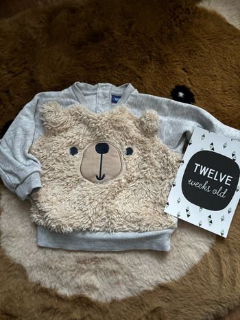 Sweat beige/gris ours LUPILU t.3m