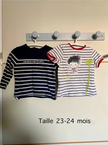 Lot de 2 tee-shirts en taille 23-24 mois