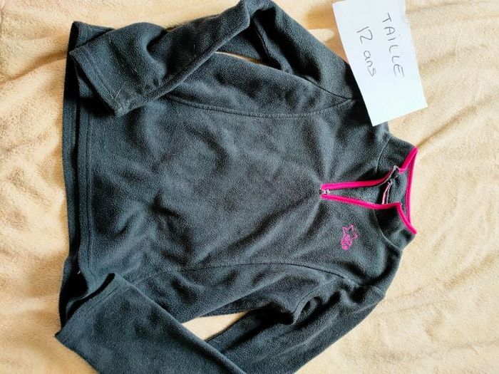 Pull polaire