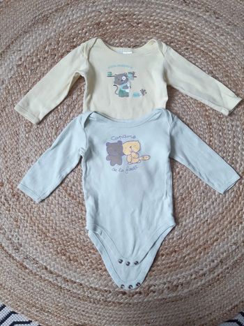 Lot de 2 bodies manches longues 12 mois