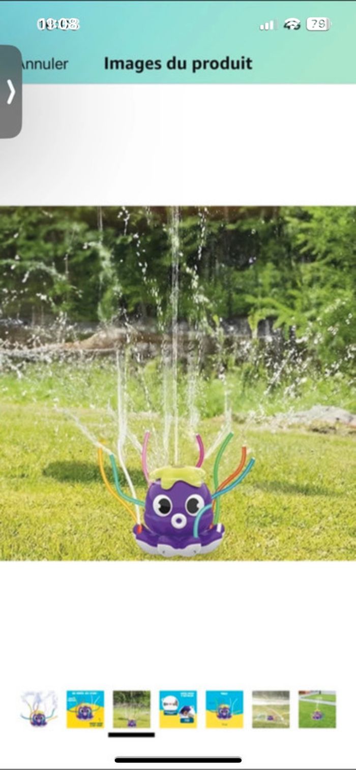 Jeu d’eau la pieuvre arroseuse - photo numéro 5