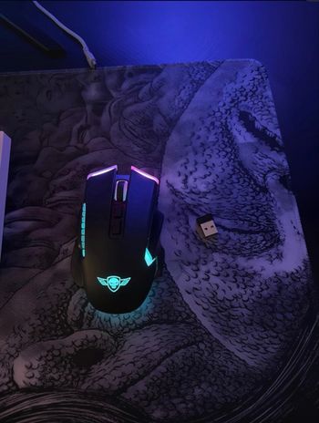 Souris RGB 