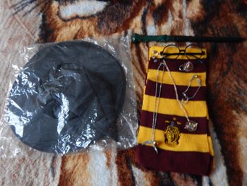 déguisement Harry Potter