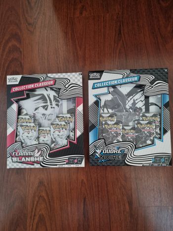 2  coffrets pokemon ev10.5