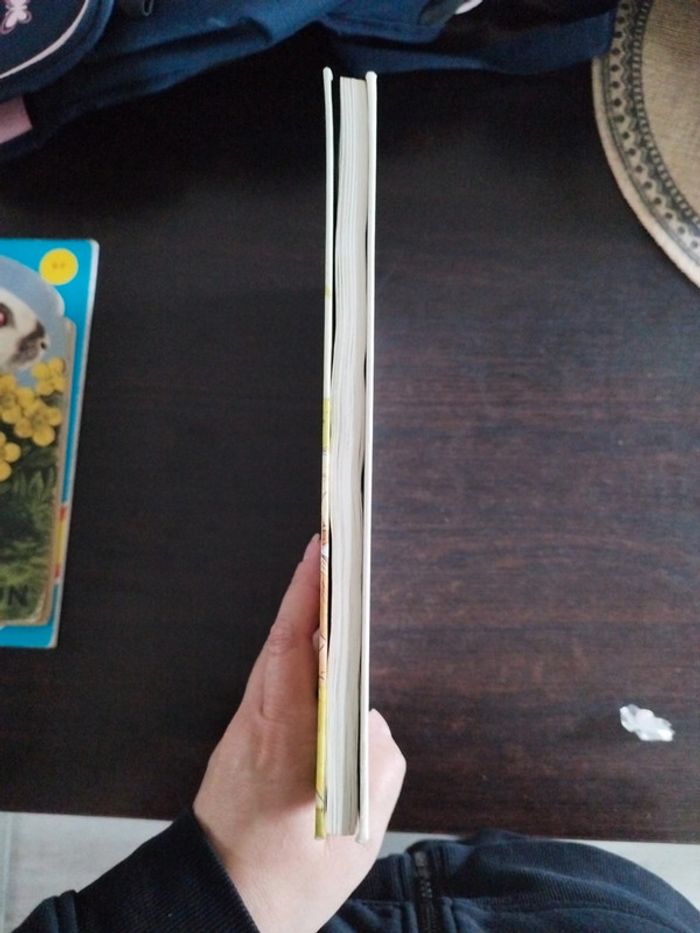 Livre Tartarin de Tarascon - photo numéro 4