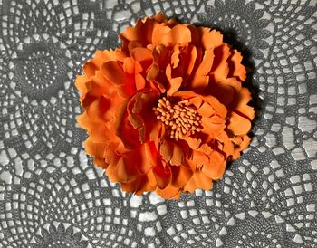 Pince à cheveux neuve