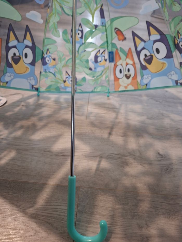 Para bluey - photo numéro 7