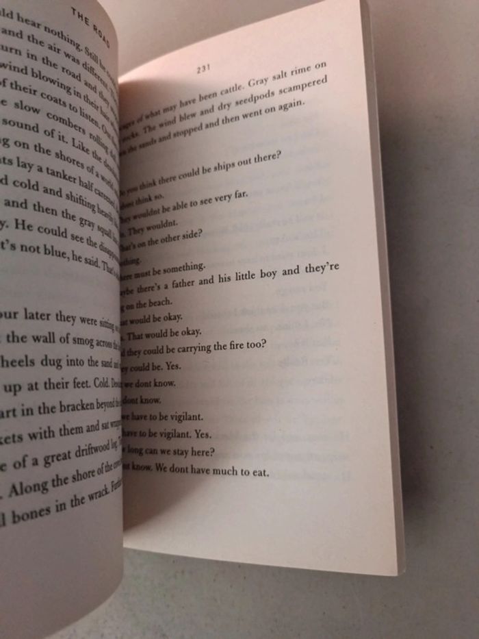 Cormac McCarthy the road - photo numéro 5