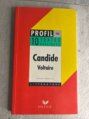 Profil 10 textes expliqués de Candide de Voltaire