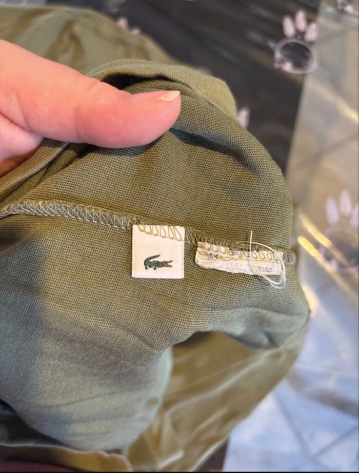 Maillot Lacoste - photo numéro 4