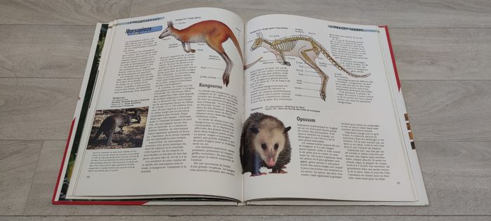 Livre - photo numéro 2