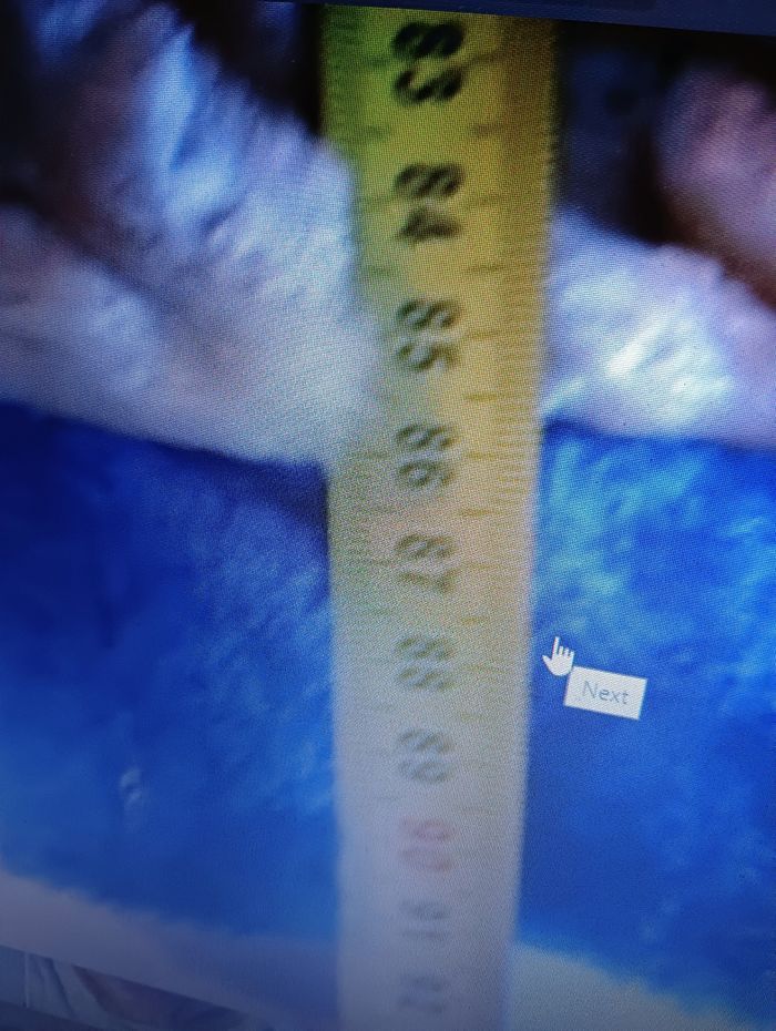 Déguisement CHIEN taille 3 / 4 ans - photo numéro 9