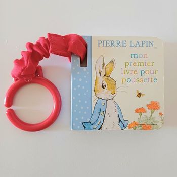 Livre poussette pierre lapin