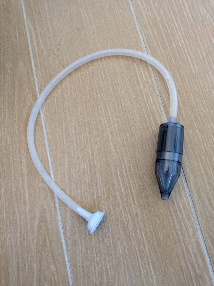 Mouche bébé - photo numéro 2