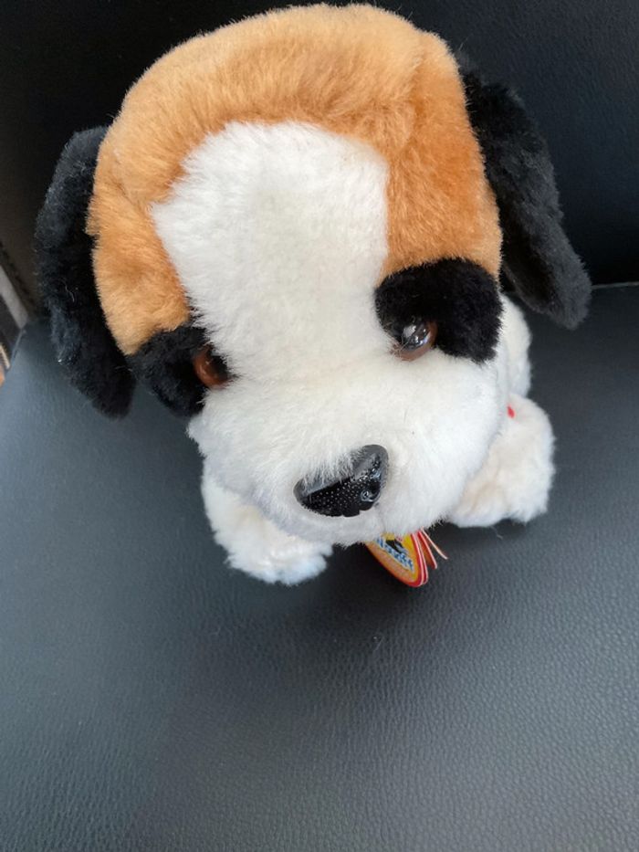 Chien - photo numéro 2