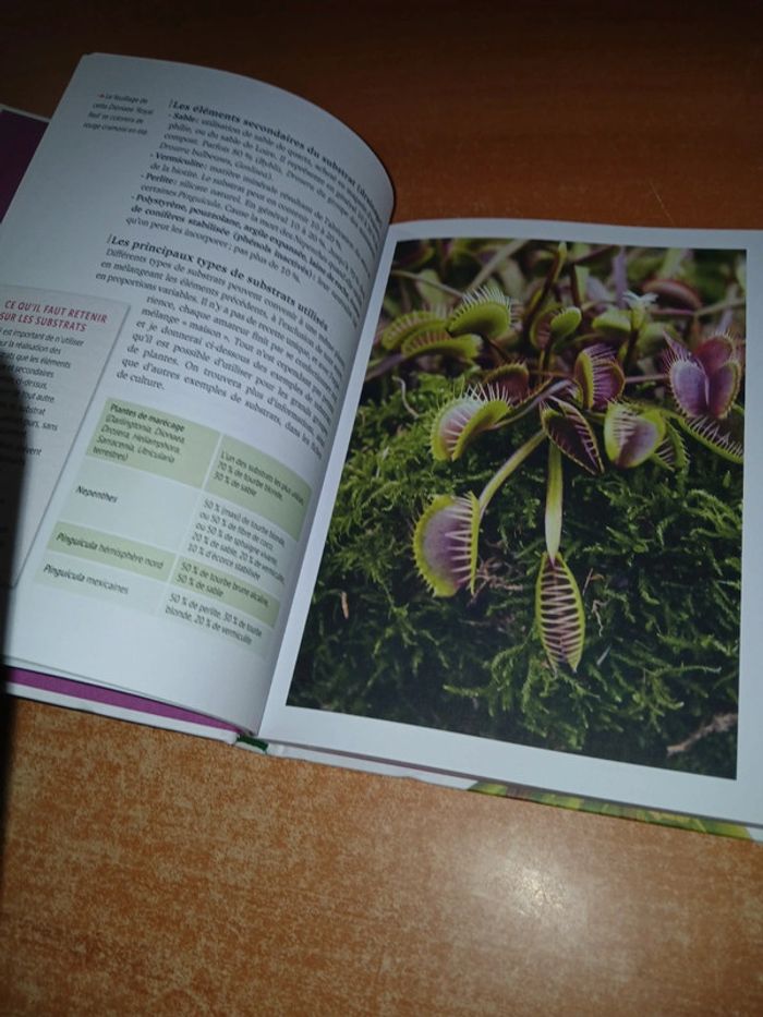 Plantes carnivores comment les cultiver et les entretenir facilement - photo numéro 6