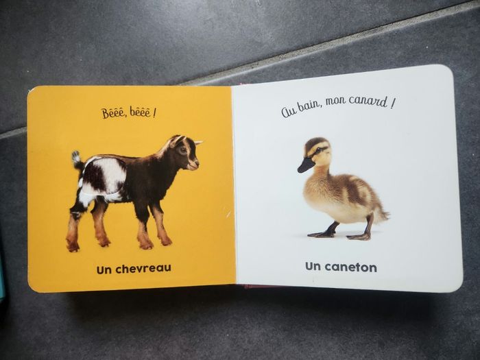 Les bébés de la ferme - photo numéro 6