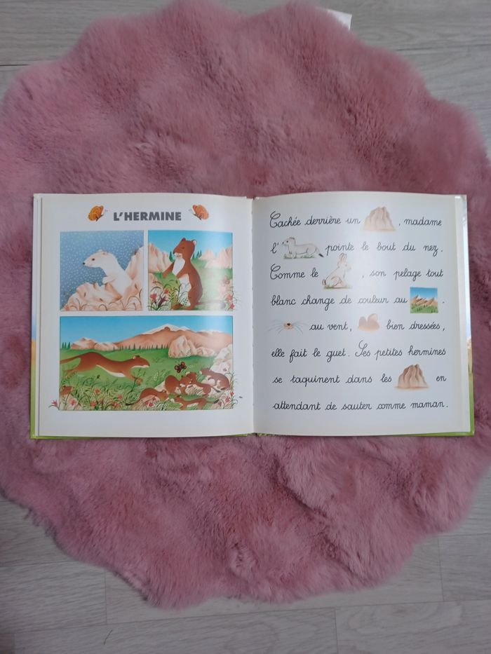 Livre d'apprentissage je lis avec les animaux de la montagne - photo numéro 4