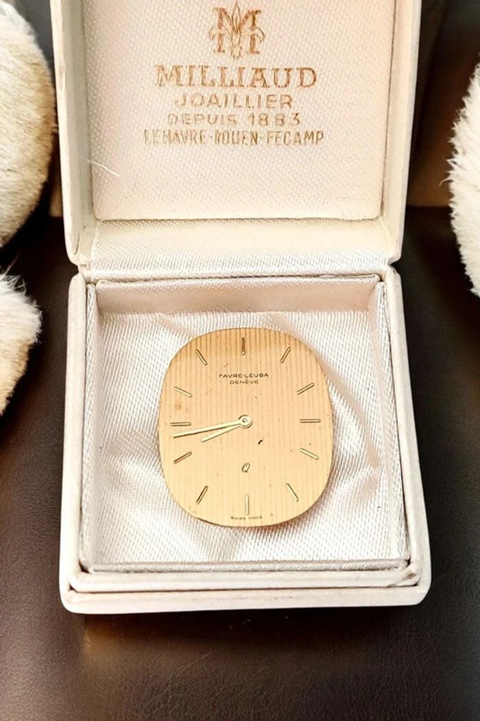 Magnifique cadran, favre leuba, montre suisse, vintage