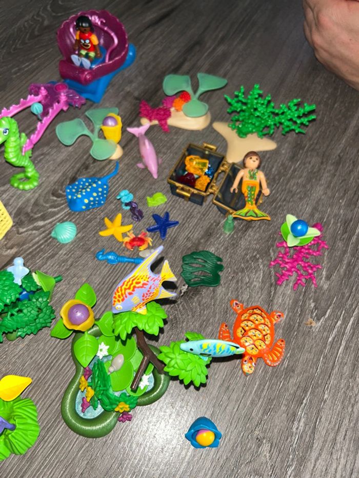 Char de princesse Playmobil avec accessoires - photo numéro 3
