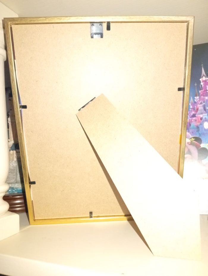 Cadre Le Cadeau de rêve Disneyland Paris - photo numéro 3