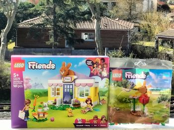 Lego Friends l'hôtel des lapins heartlake city et le jardin floral 