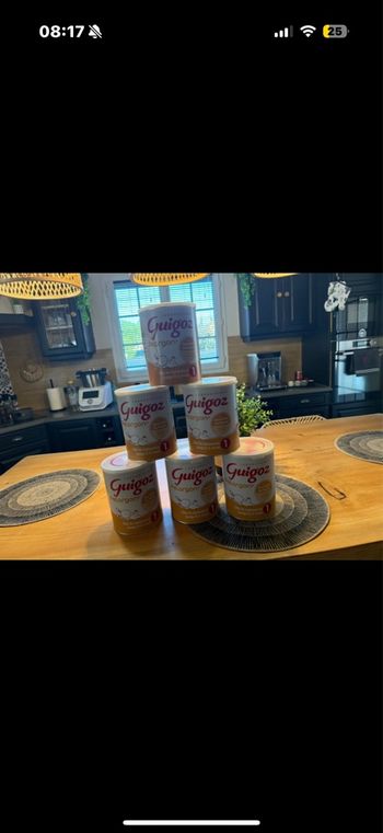 Lot 6 boîtes guigoz pelargon