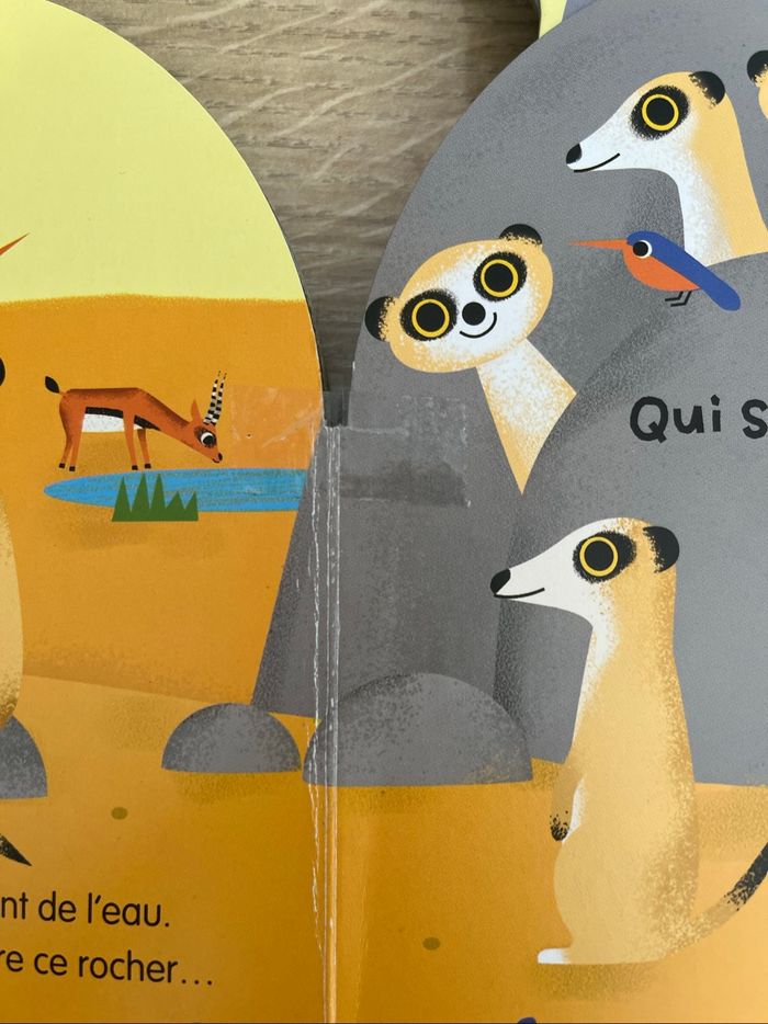 À qui sont ces cornes d’animaux - photo numéro 2