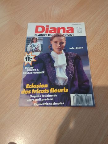 Diana Plaisirs du tricot n°41