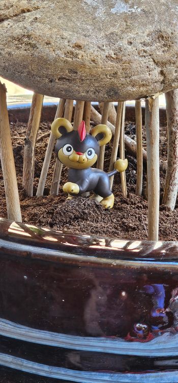 Super figurine Pokemon nintendo Tomy helionceau 