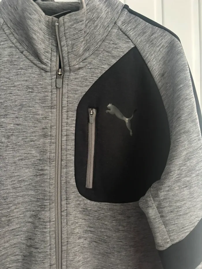 Veste de sport pour Homme Puma - photo numéro 6