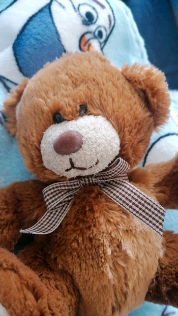 Ours en peluche 15cms