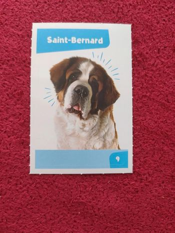 Carte nos amies les bêtes