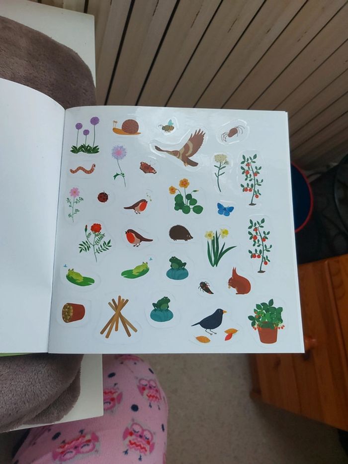 Les petites bêtes du jardin - photo numéro 3