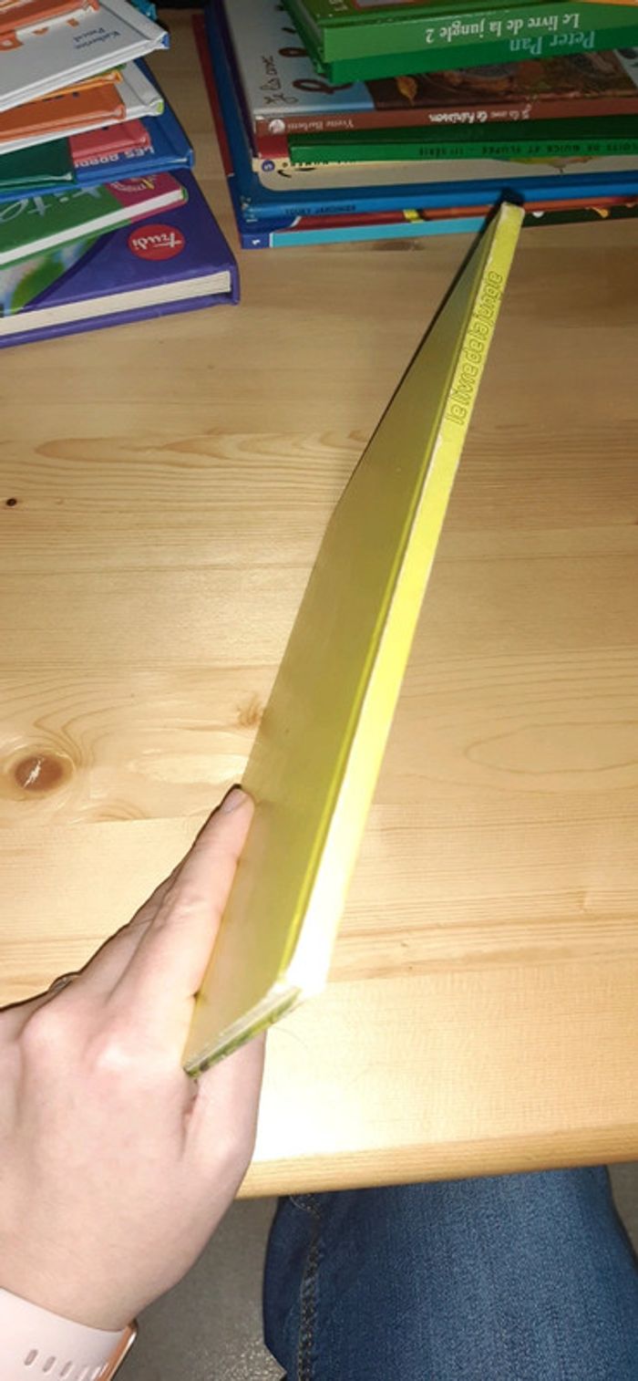 Le livre de la jungle - photo numéro 3