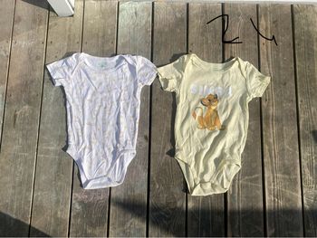 Lot bodies SIMBA