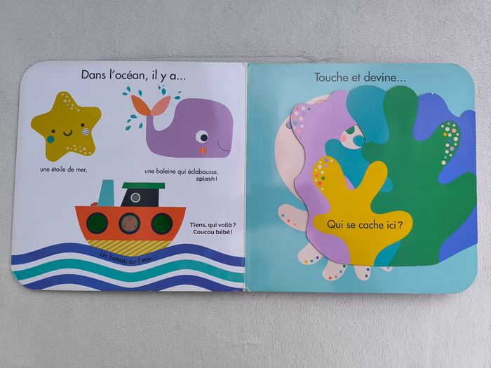 Livre Caché trouvé Larousse - photo numéro 4