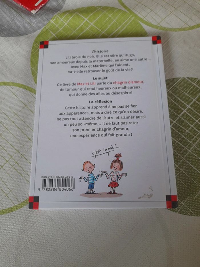 Ainsi va la vie : lili a un chagrin d'amour - photo numéro 2