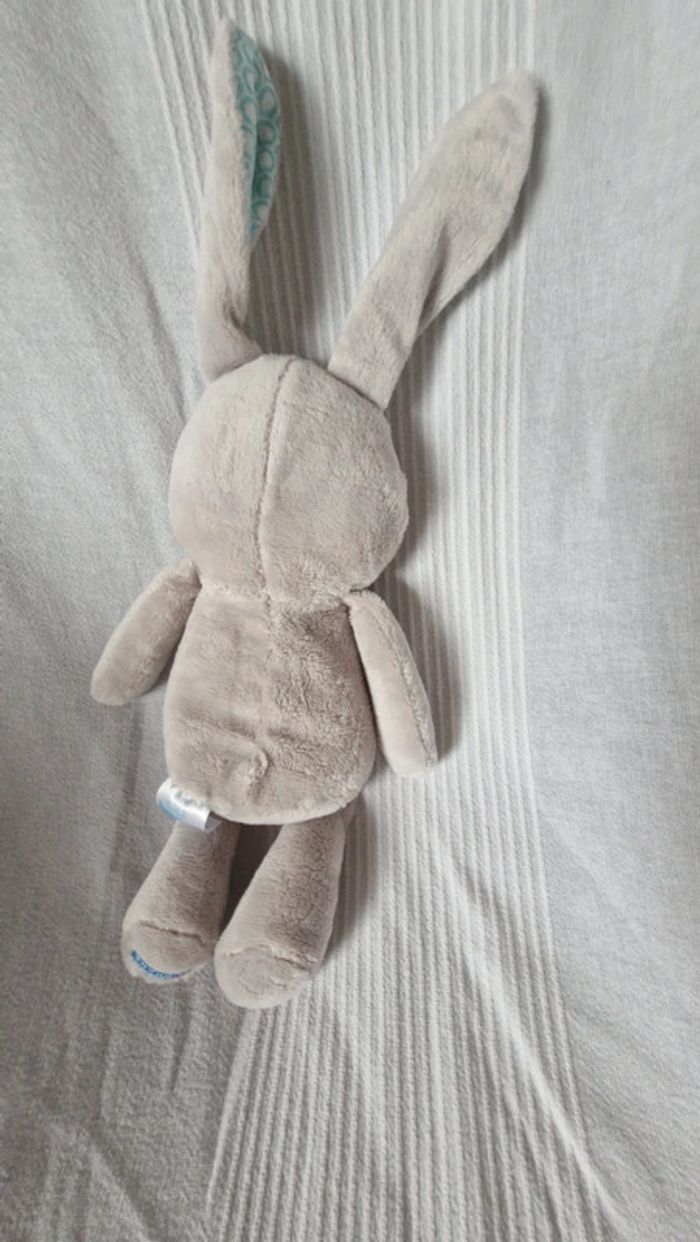 Lapin klorane bleu - photo numéro 2