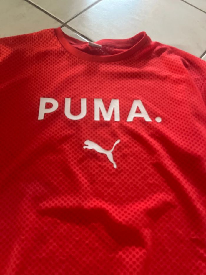 T Shirt - photo numéro 2