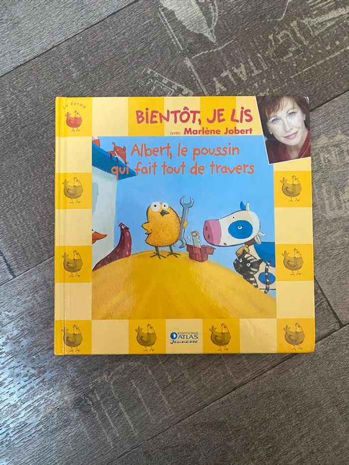 Livre Albert, le poussin qui fait tout de travers