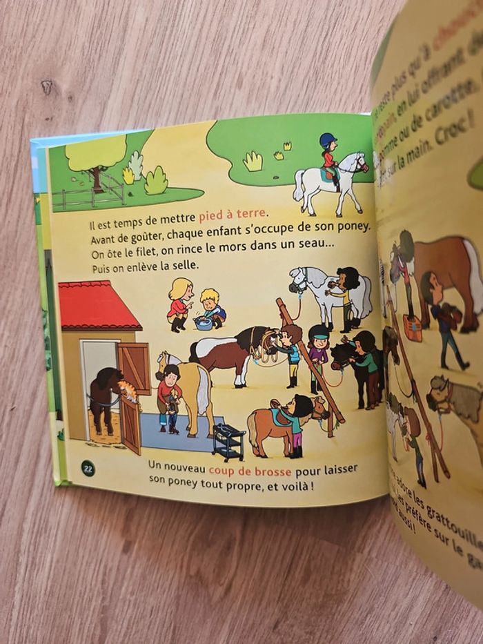 Livre mes p'tits docs : Les poney - photo numéro 5